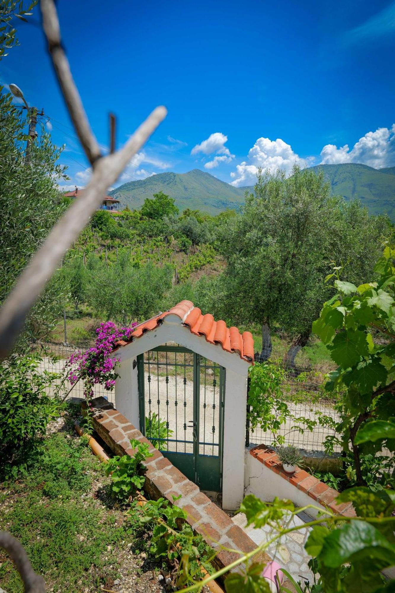 Shena The Farm Boutique Hotel Mesopotam Ngoại thất bức ảnh